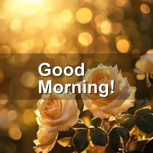 good morning wednesday images - beautiful morning image 003 - free HD download