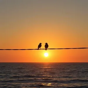 captivating good morning patni images with golden sunrise and loving wishes - HD share — good morning wife images image WhatsApp picture