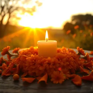 good morning wife images with roses and romantic sunrise for beloved - free download — vibrant good morning wife images greeting