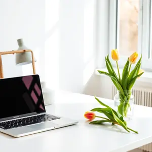 new good morning images - beautiful morning image 012 - free HD download