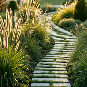 new good morning images - beautiful morning image 020 - free HD download