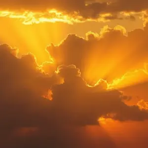 Today Special (Auto-updating)