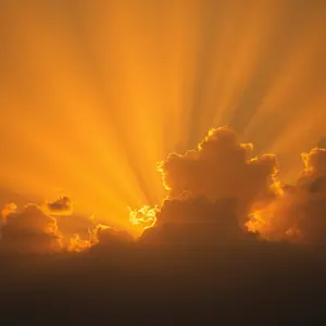 today special good morning images with fresh daily wish and bright morning - HD share