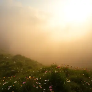 today special good morning images with unique daily cheerful greeting - HD quality