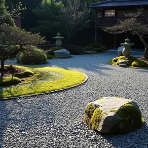 today special good morning images - beautiful morning image 031 - free HD download