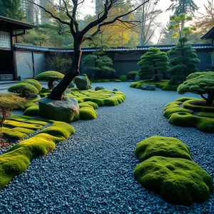 today special good morning images - beautiful morning image 032 - free HD download