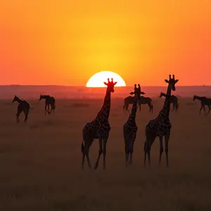 today special good morning images - beautiful morning image 037 - free HD download